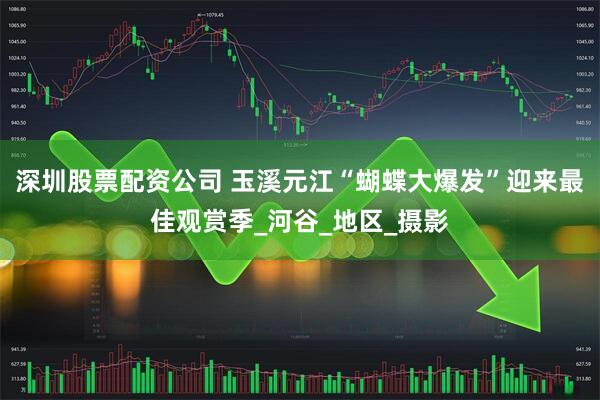 深圳股票配资公司 玉溪元江“蝴蝶大爆发”迎来最佳观赏季_河谷_地区_摄影